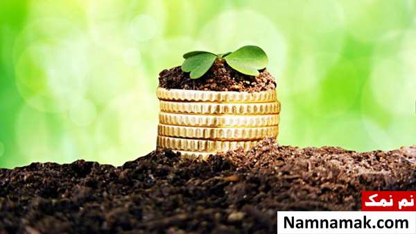 هفت راز موفقیت در زندگی