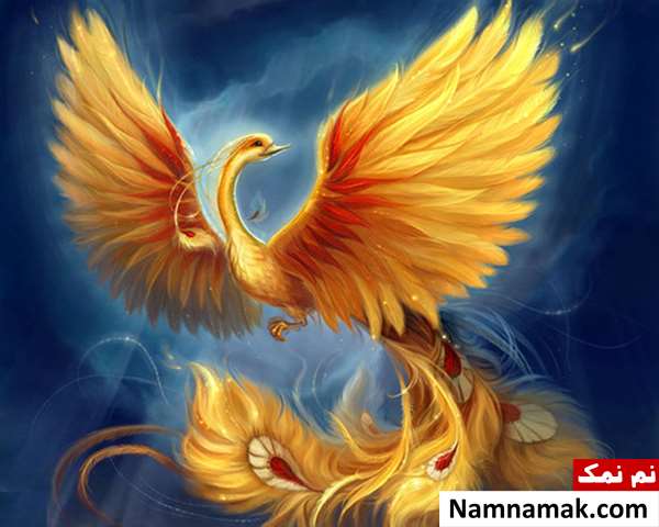 شعر ای مگس عرصه سیمرغ