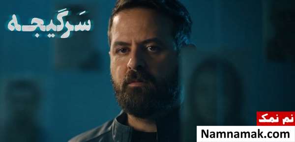خلاصه داستان و معرفی بازیگران سریال سرگیجه هومن سیدی در سریال سرگیجه