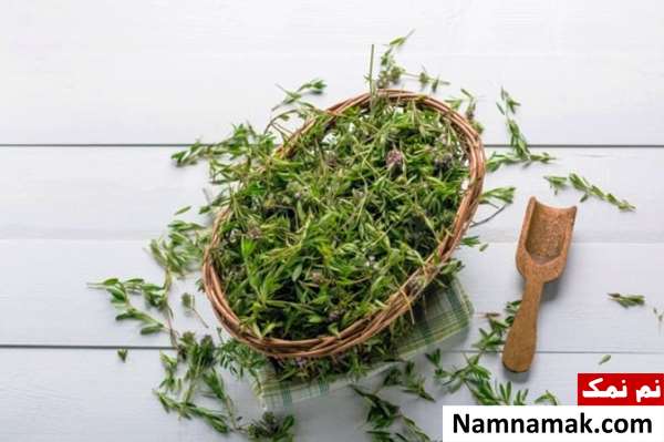 عوارض سیر برای ریه عوارض سیر برای ریه