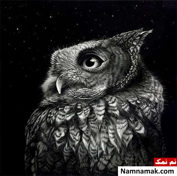 ایجاد طرح های زیبا با خراشیدن جوهر ایجاد طرح های زیبا با خراشیدن جوهر