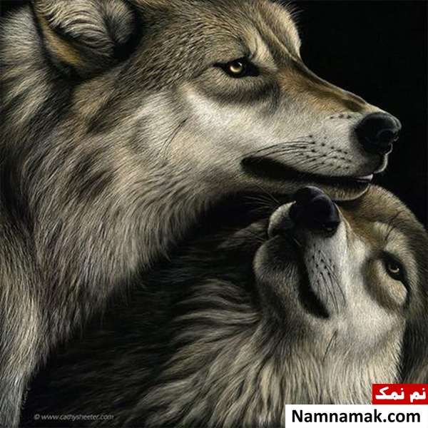 ایجاد طرح های زیبا با خراشیدن جوهر ایجاد طرح های زیبا با خراشیدن جوهر