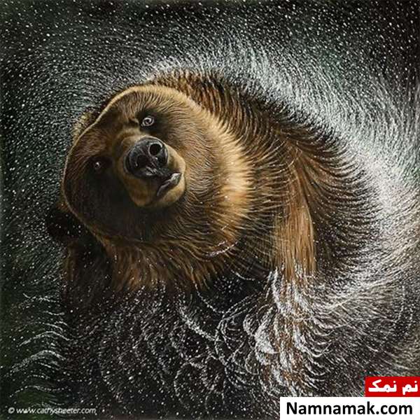 ایجاد طرح های زیبا با خراشیدن جوهر ایجاد طرح های زیبا با خراشیدن جوهر