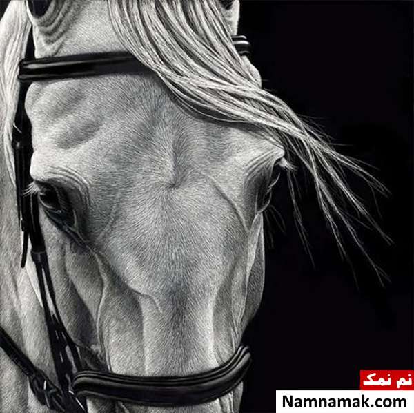 ایجاد طرح های زیبا با خراشیدن جوهر ایجاد طرح های زیبا با خراشیدن جوهر