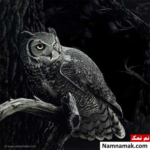 ایجاد طرح های زیبا با خراشیدن جوهر ایجاد طرح های زیبا با خراشیدن جوهر