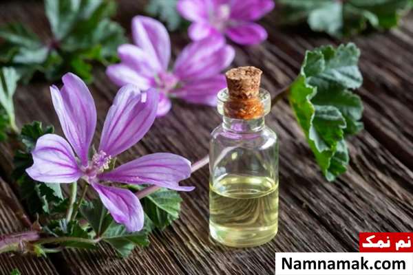 خواص پنیرک برای مردان و درمان پروستات