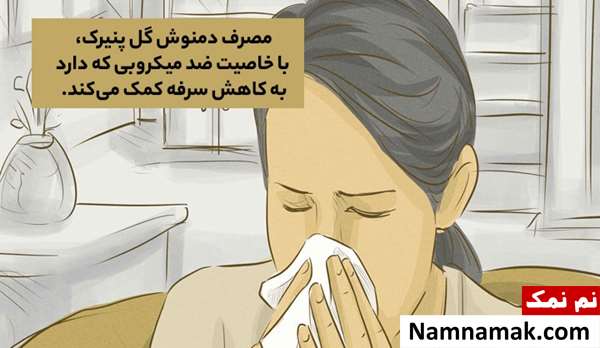 گل پنیرک برای چی خوبه