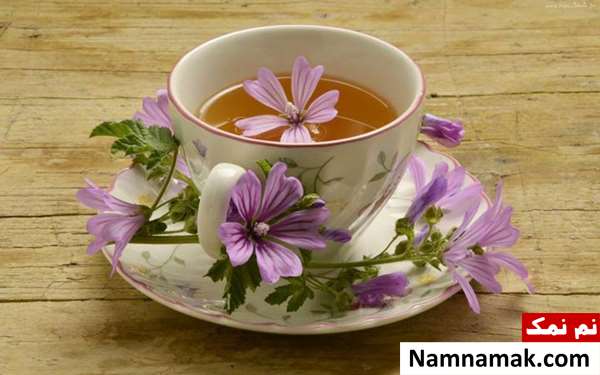 خواص پنیرک برای لاغری و چربی سوزی