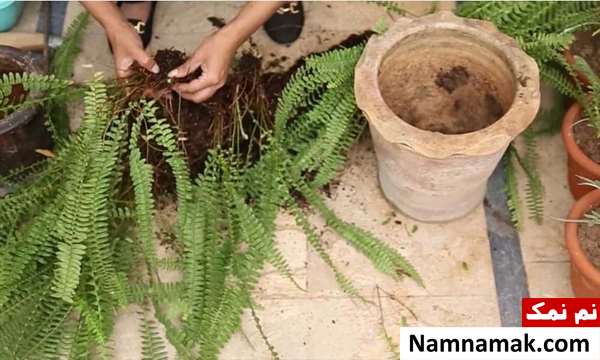 آموزش تصویری آموزش تصویری