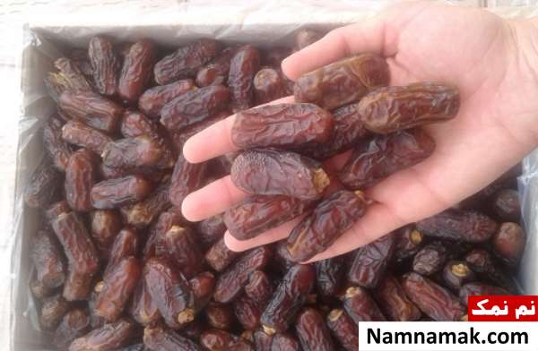 معرفی انواع خرما در ایران و جهان با عکس