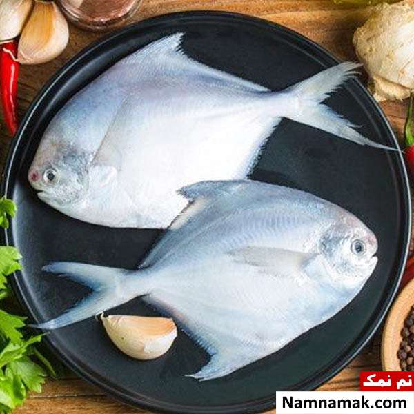 گران قیمت ترین ماهی های خوراکی ایران گران قیمت ترین ماهی های خوراکی ایران
