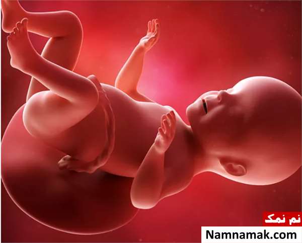کیا هفته 26 بارداری هستن