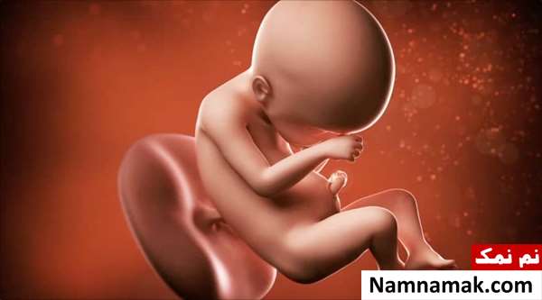 تغذیه در هفته 26 بارداری