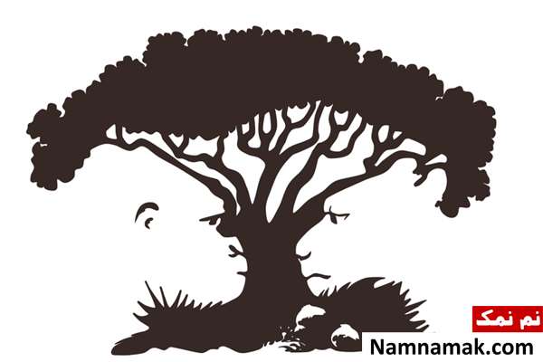 در نگاه اول چه می بینید؟