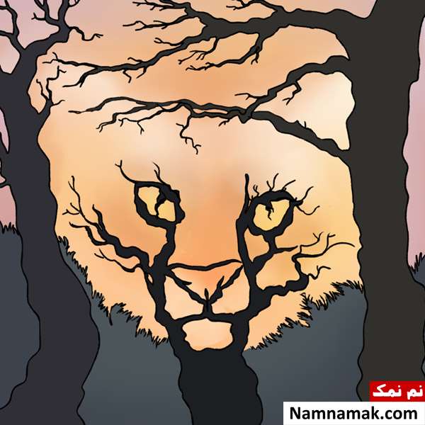 در نگاه اول چه می بینید؟
