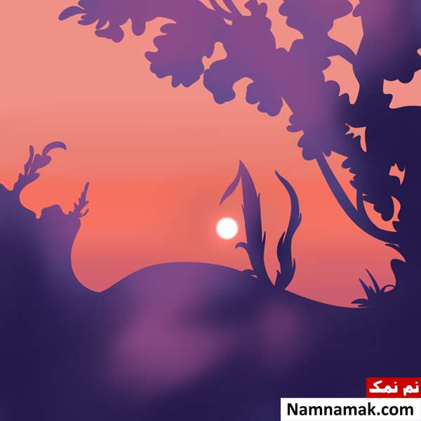 در نگاه اول چه می بینید؟