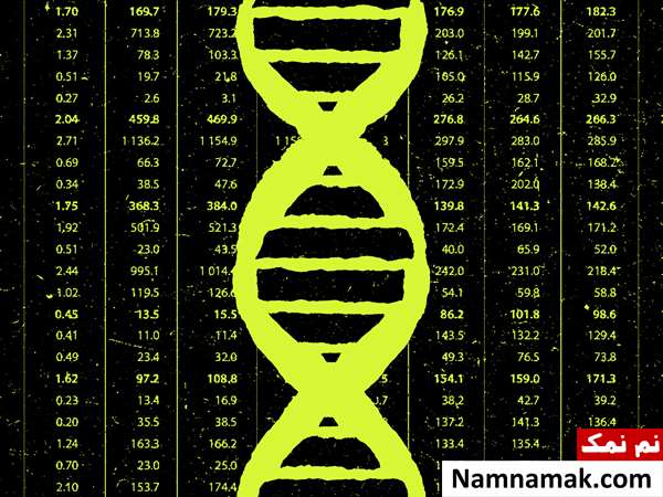 جواب آزمایش dna چقدر طول می کشد؟