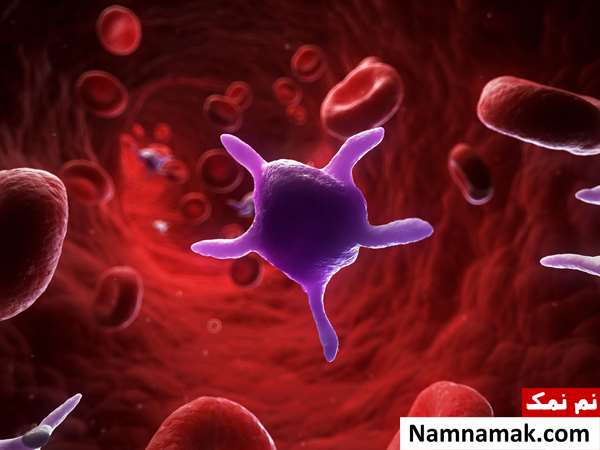 میزان پلاکت خون باید چند باشد؟ میزان پلاکت خون باید چند باشد؟