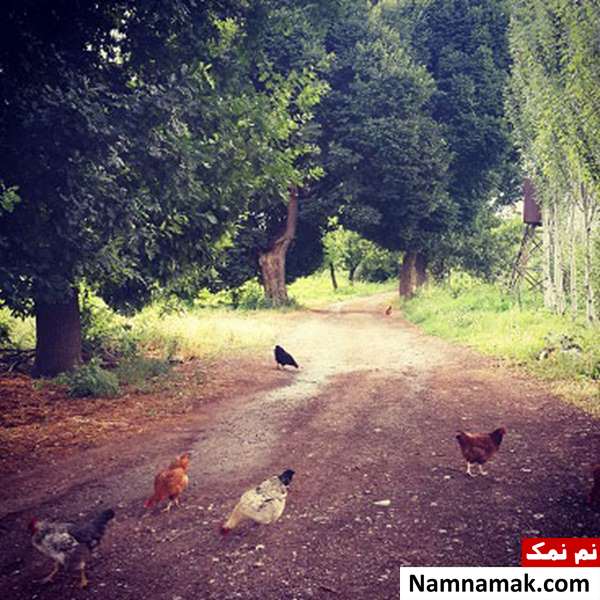 جاذبه های گردشگری خوی