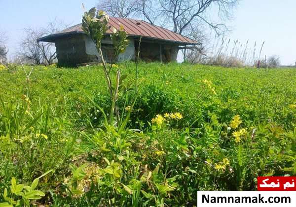 جاذبه های گردشگری بابلسر