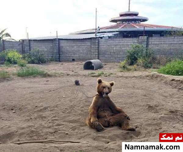 جاذبه های گردشگری بابلسر
