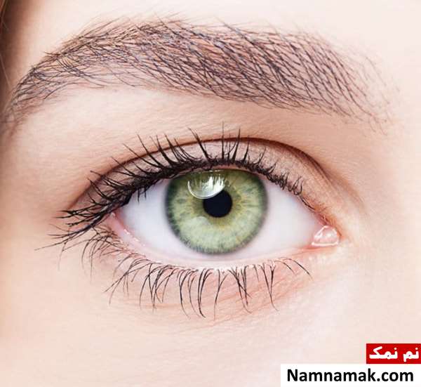 خواص و فواید پیاز قرمز در طب سنتی
