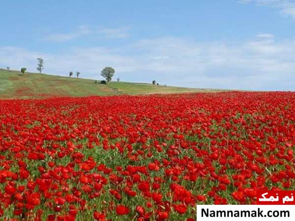 دیدنیهای استان  سمنان؛ جاذبه های گردشگری استان سمنان