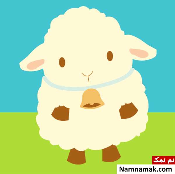عکس بره کوچولو