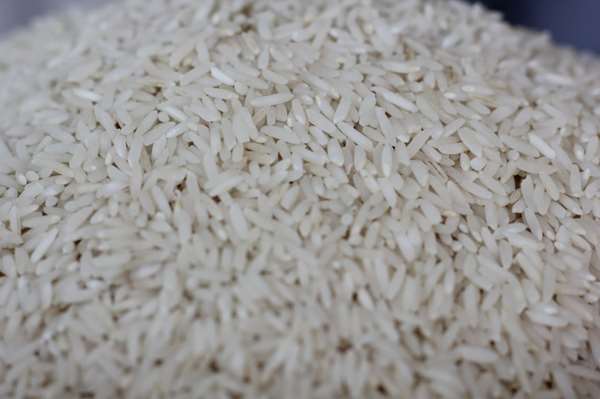 برنج سرلاشه مناسب ترین انتخاب برای مصرف روزانه برنج سرلاشه مناسب ترین انتخاب برای مصرف روزانه