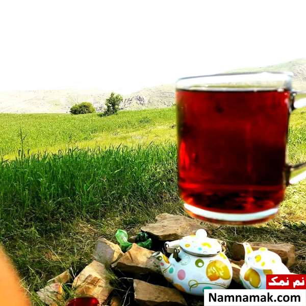 مدت زمان نگهداری چای در فلاسک