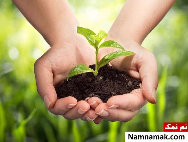 عوارض و مضرات تفاله چای چیست؟ عوارض و مضرات تفاله چای چیست؟