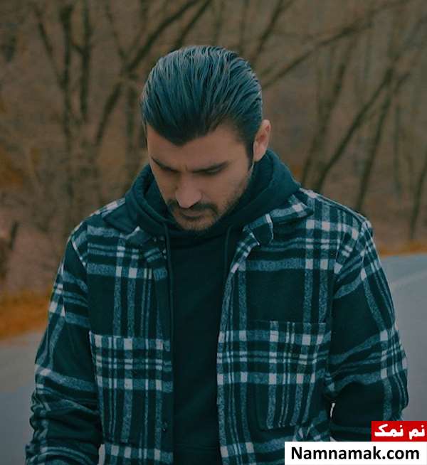 زندگینامه مهدی میرزایی مهدی میرزایی