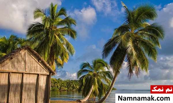 جزیره ماداگاسکار (Madagascar Island)
