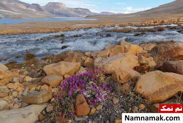 جزیره الزمیر (Ellesmere island)