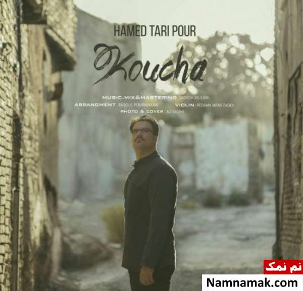 زندگینامه حامد تاری پور و همسرش حامد تاری پور