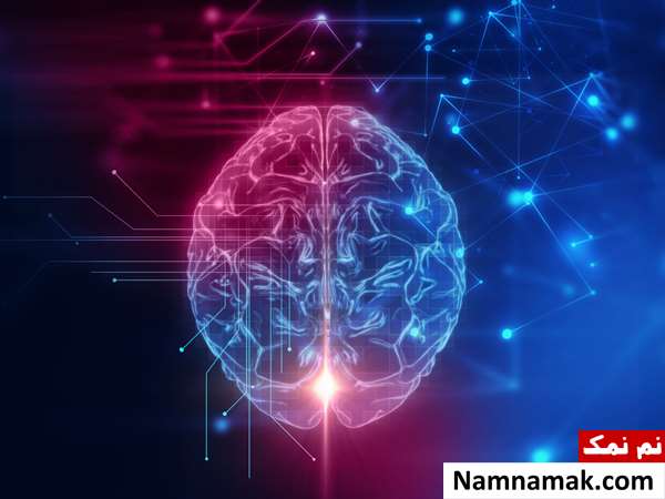 ذهن چیست و چه خصوصیاتی دارد؟