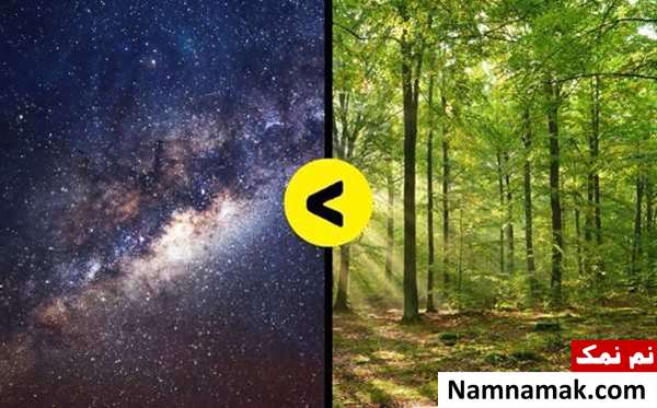 آمار عجیب و غریب در جهان که شما را شگفت زده می کند