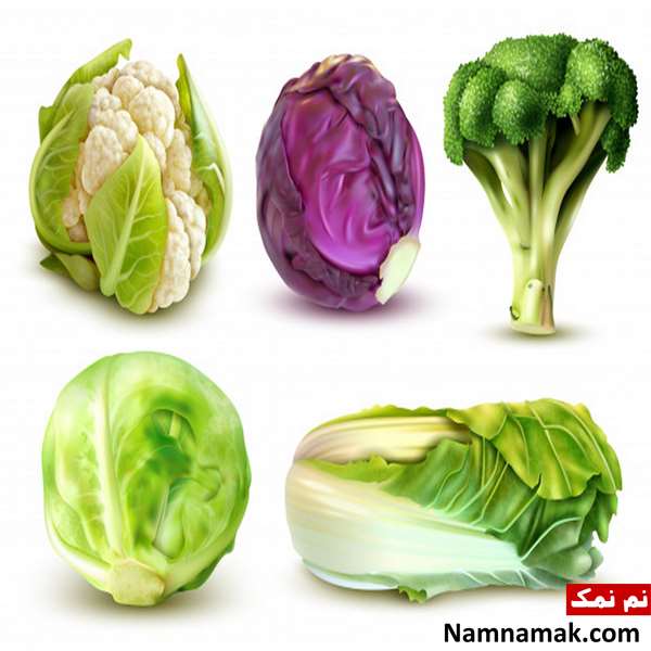 منابع کلسیم گیاهی منابع کلسیم گیاهی