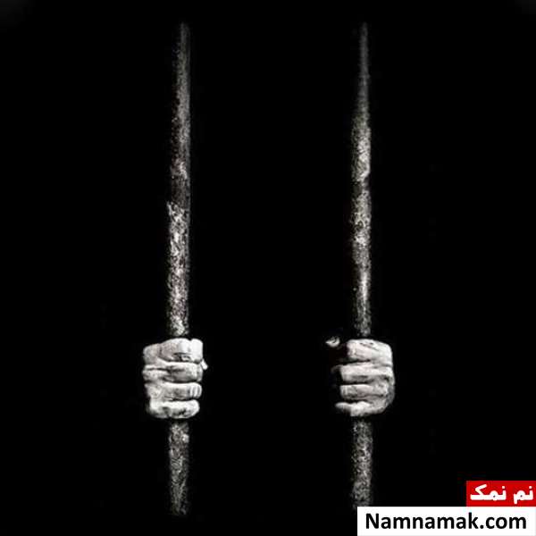 بیوگرافی دارک بیوگرافی دارک
