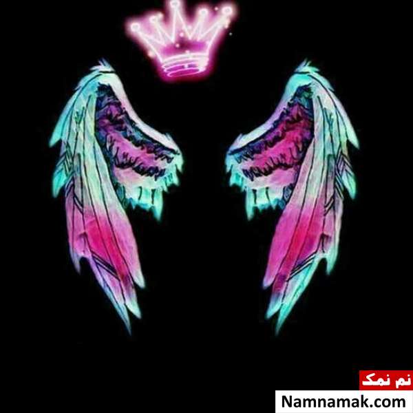 بیوگرافی دارک بیوگرافی دارک