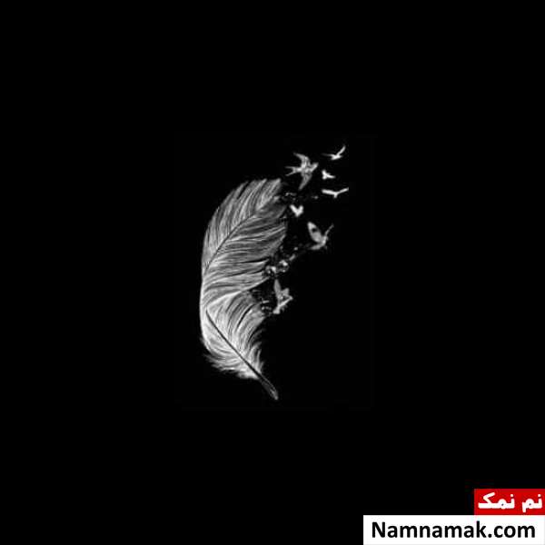 بیوگرافی دارک بیوگرافی دارک