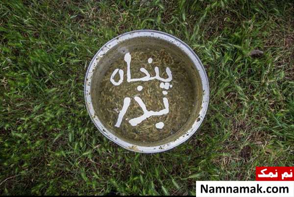 پنجاه بدر قزوین پنجاه بدر قزوین