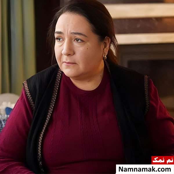 خلاصه داستان و معرفی بازیگران سریال چشم چران عمارت یا شاه ماهی هلیا دویار (شفیکا)