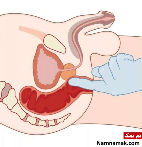 مردان دوست دارن کجاشونو بخوریم