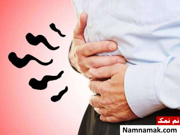 تفاوت سیبو با آی بی اس 