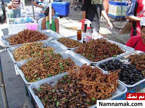 چندش آورترین غذاهای جهان