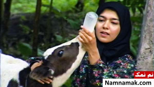 دنیای شیرین دریا