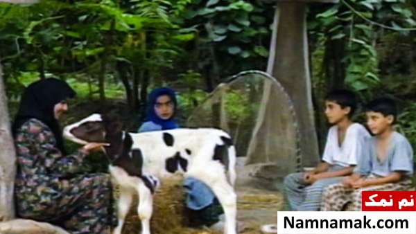 امیر محمدزاده و پوپک گلدره در دنیای شیرین دریا