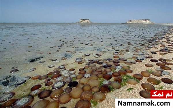 زیباترین طبیعت ایران کجاست؟