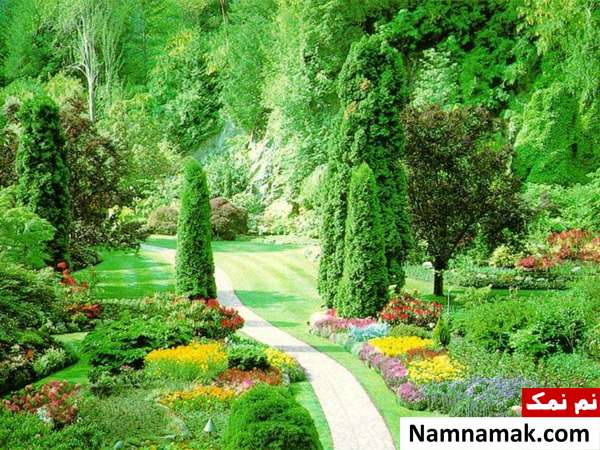 عکس طبیعت زیبا